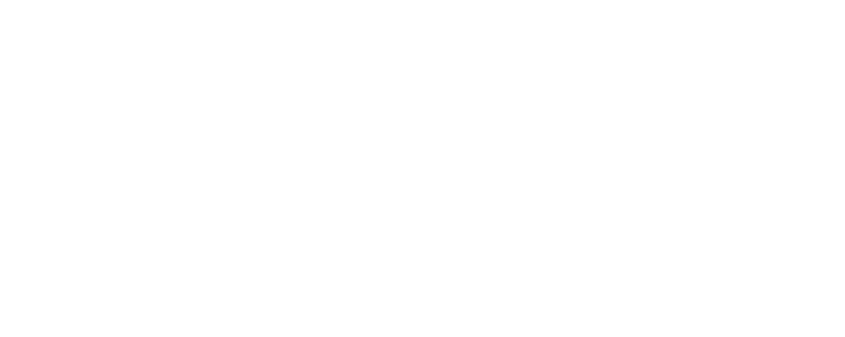 Logo SKEO